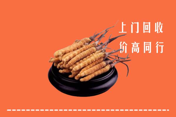 高价求购：潍坊诸城市回收散虫草