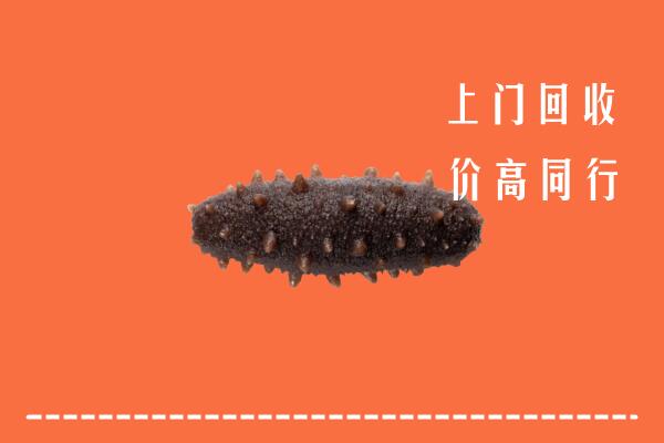潍坊诸城市回收海参
