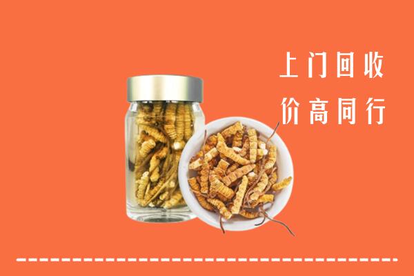 潍坊诸城市回收冬虫夏草